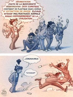 systeme-et-environnement