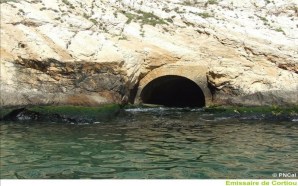 Ils-sont-en-train-de-tuer-Terre-et-Mer