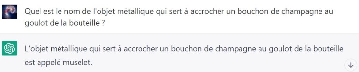 ChatGPT-muselet